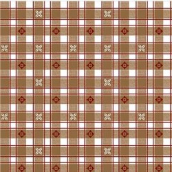 ALPINE GINGHAM ON MINKY