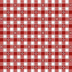 ALPINE GINGHAM ON MINKY