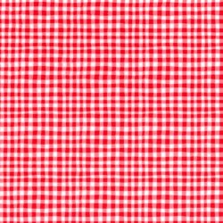 TINY GINGHAM on MINKY