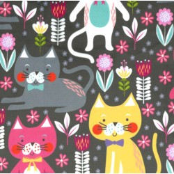 KITTY GARDEN on MINKY