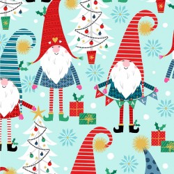 A GNOME TO FA LA ON MINKY