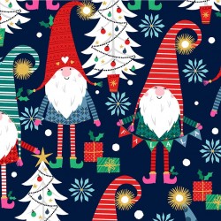 A GNOME TO FA LA ON MINKY