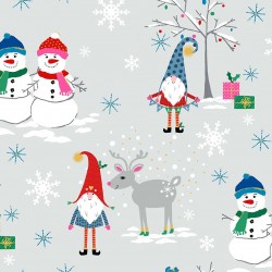 SNOW VILLAGE ON MINKY