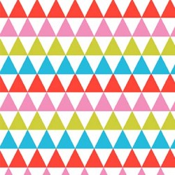 TRIBAL TRIANGLES ON MINKY