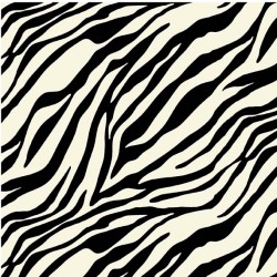 WILD STRIPE ON MINKY