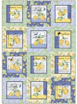 Block Talk Quilt by Swirly Girls Design /40"x57"