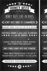 HONEY PANEL