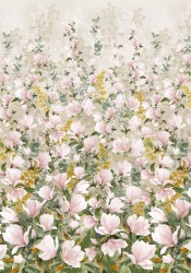 MAGNOLIA BORDER
