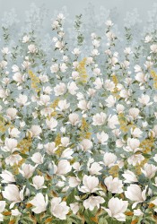 MAGNOLIA BORDER