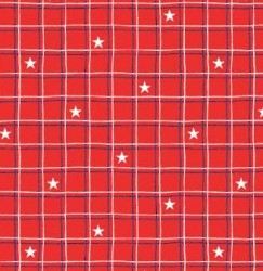 CHECKERED ON MINKY