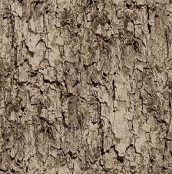 TREE BARK