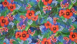 TROPICAL DREAMS