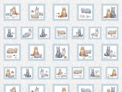 CUSTOM CATS