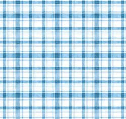 POP UP PLAID ON MINKY