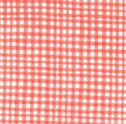 GINGHAM PLAY
