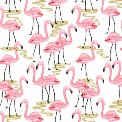 FLAMINGO BAY