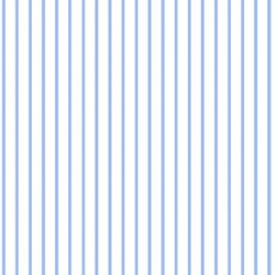 DELICATE STRIPE
