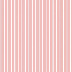 DELICATE STRIPE