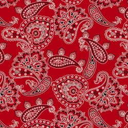 BANDANA ALLOVER