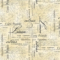 CARTE POSTALE