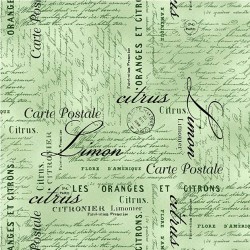 CARTE POSTALE