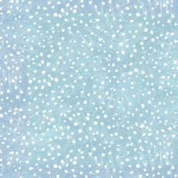 MONOTONE DOT