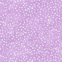 MONOTONE DOT