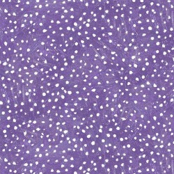 MONOTONE DOT