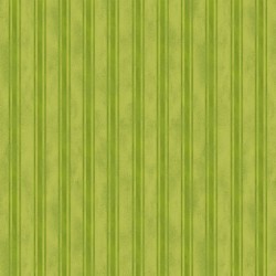ELEGANT STRIPE