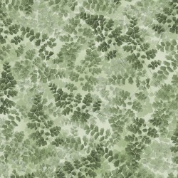 MAIDENHAIR FERN