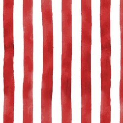 BROAD STRIPES