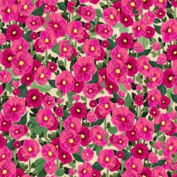 HOLLYHOCKS