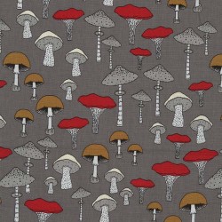 CHAMPIGNONS