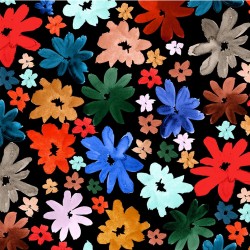 WILD DAISY