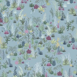 DESERT GARDEN