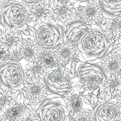 TIMELESS TOILE