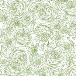 TIMELESS TOILE