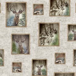 WINDOWS TO THE WILD