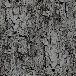 TREE BARK