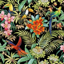 RAINFOREST HABITAT