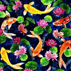 KOI HABITAT
