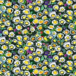 LAWN DAISIES