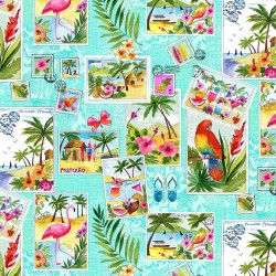 PICTURE POSTCARDS
