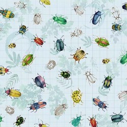 BEETLES AND BUGS