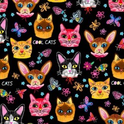 CRAZY CATS