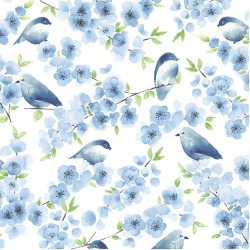 BLUEBIRD FAMILY