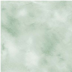 FAIRY WING TEXTURE