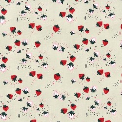STRAWBERRY DELIGHT