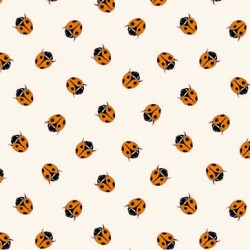 LADYBIRD ON MINKY