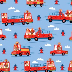FIREFIGHTER TEAM ON MINKY